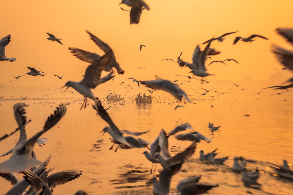 Photograph by Zubair Irshad