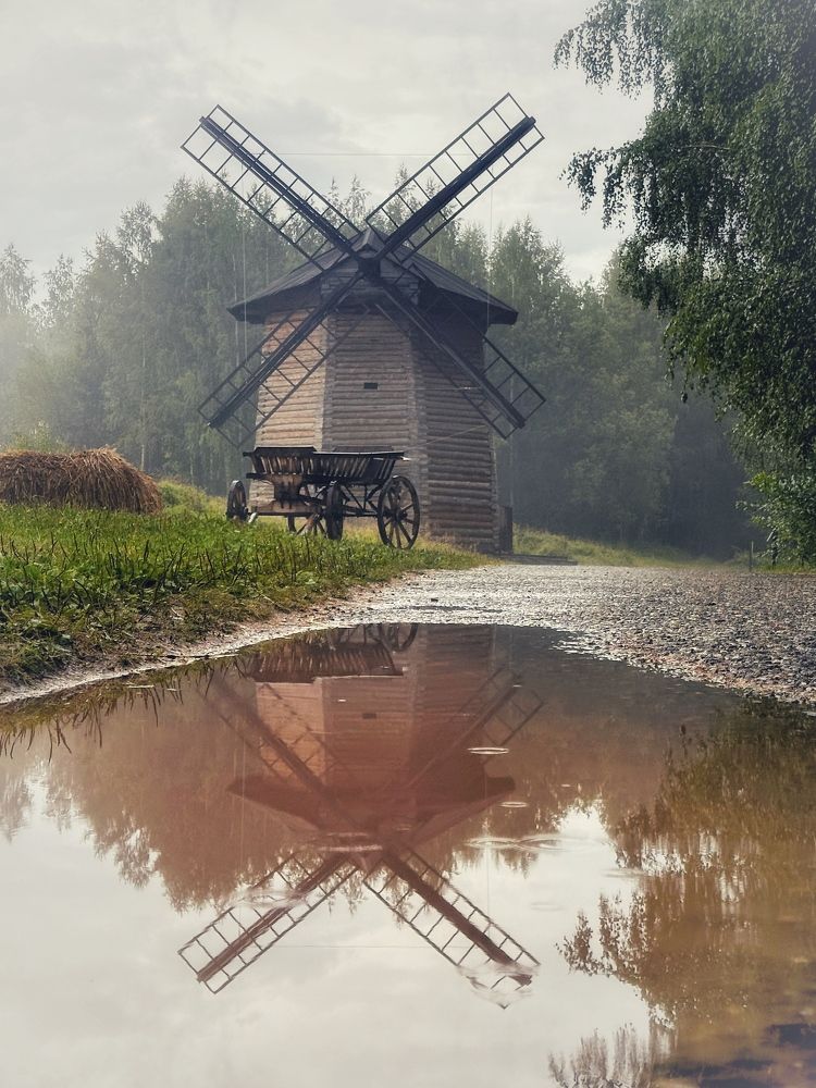 После дождя