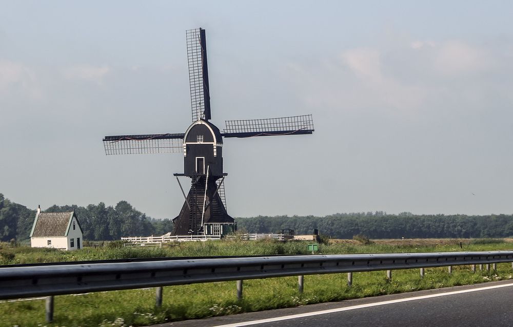 Фотография автора Александр