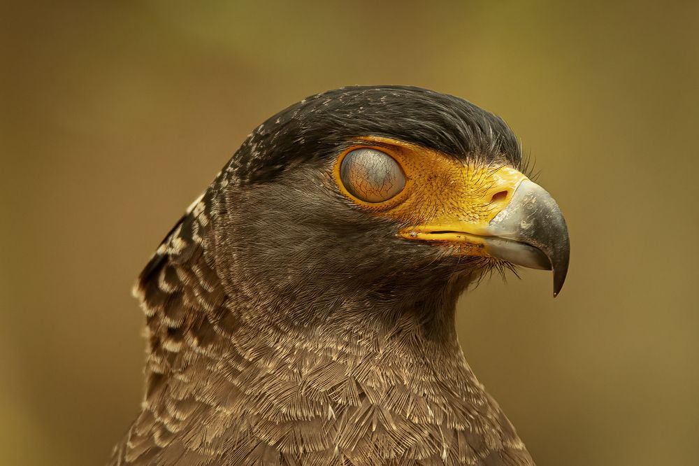 Photograph by Mineth Vismitha