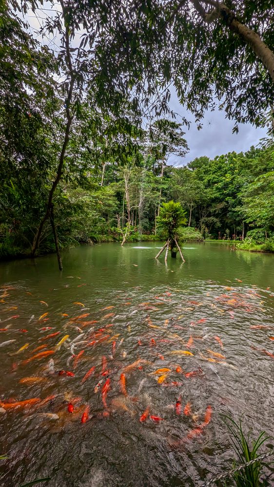 Photograph by Dilan Daniel