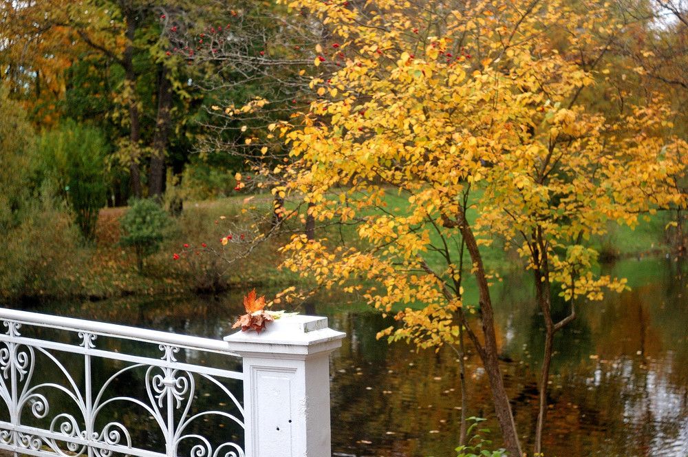 Расставание