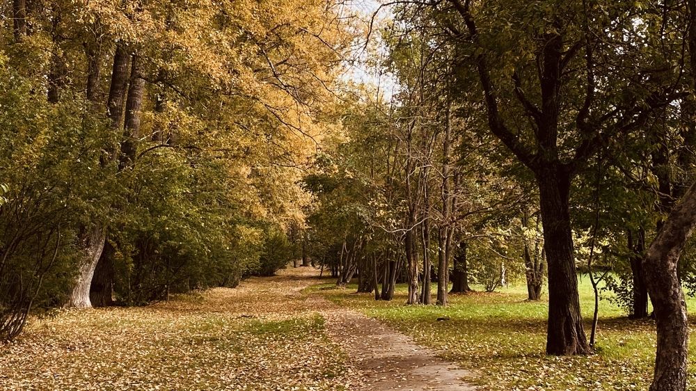 Photograph by Наталья Ситова