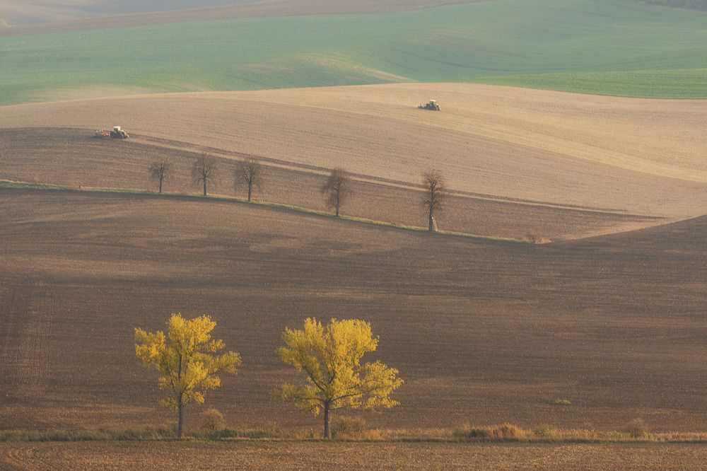 Photograph by Марина Маликова