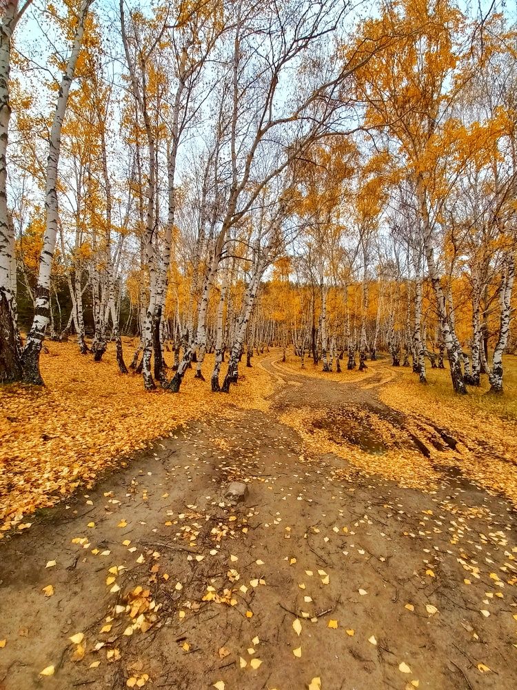 Photograph by Александра Королёва