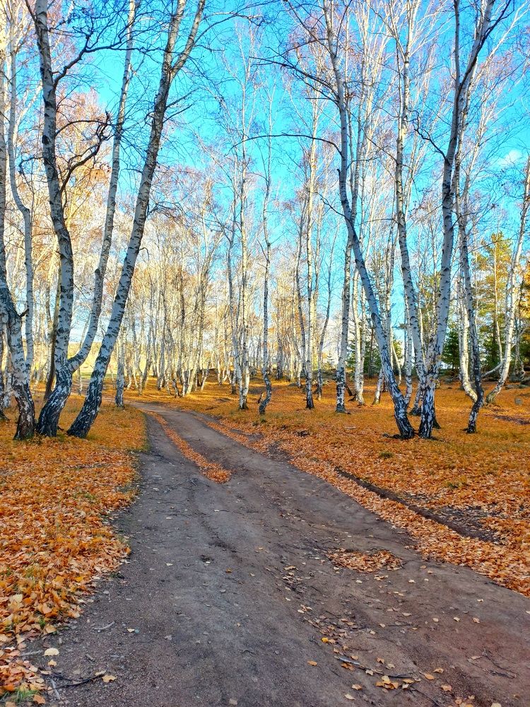 Photograph by Александра Королёва