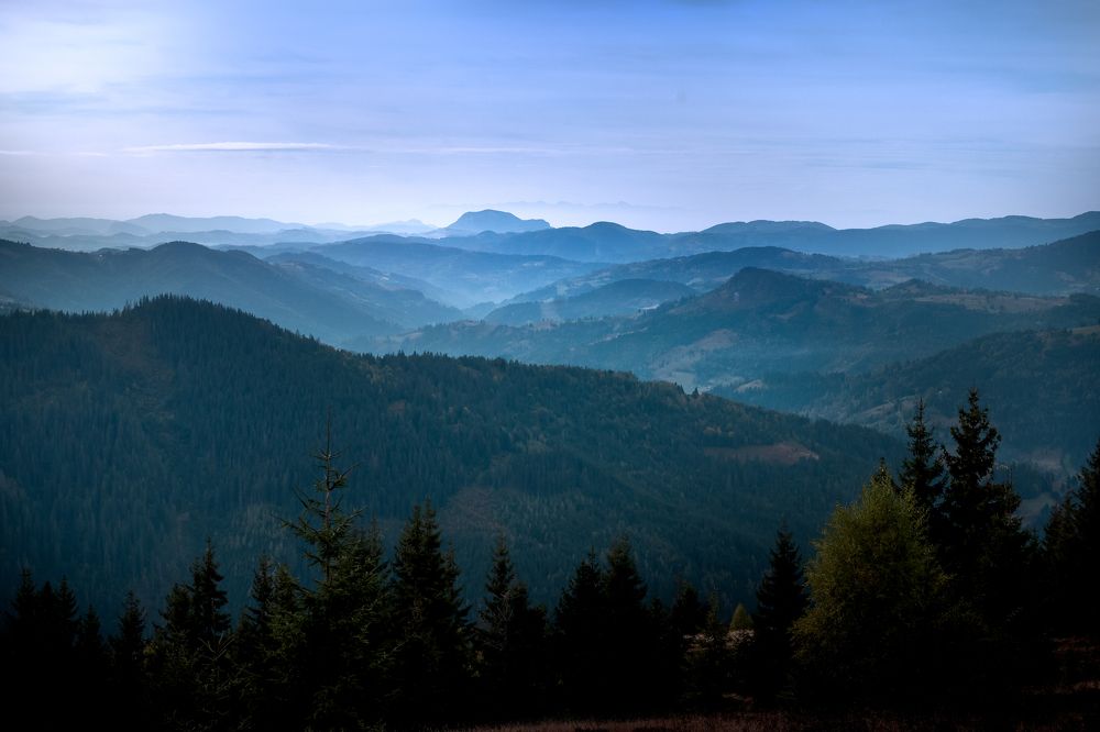 Photograph by TOMA MARIN