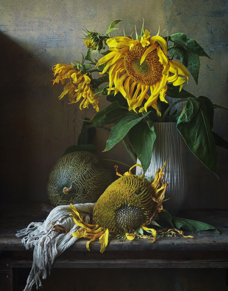 Photograph by Елена Виноградова