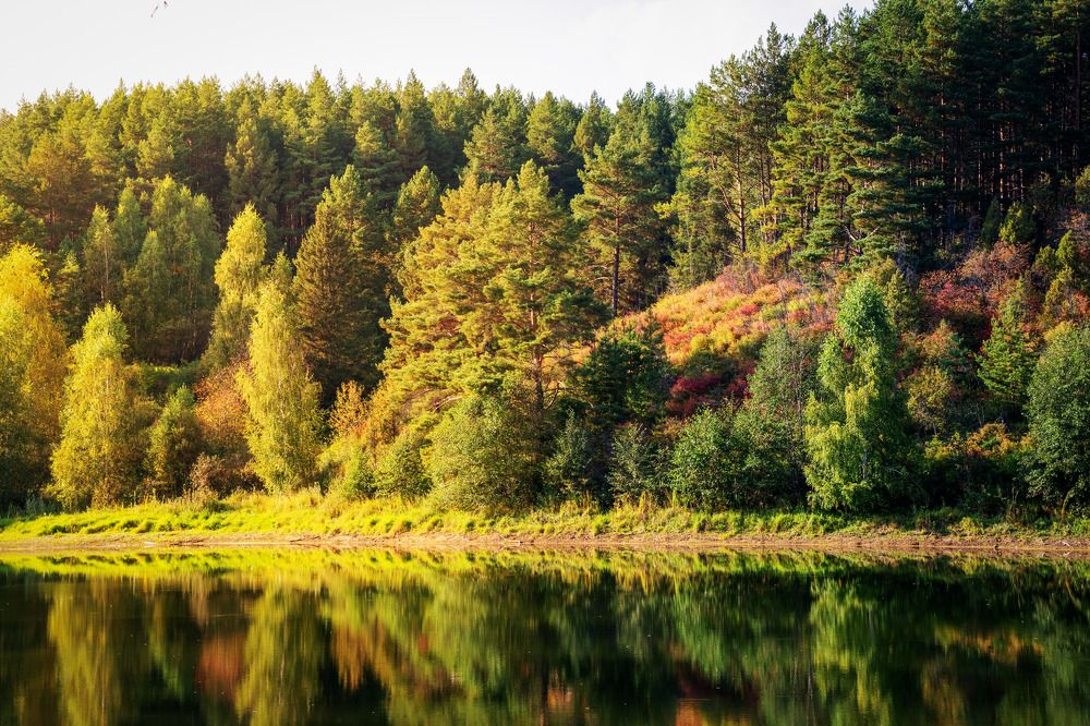 Photograph by Миша Азиатцев