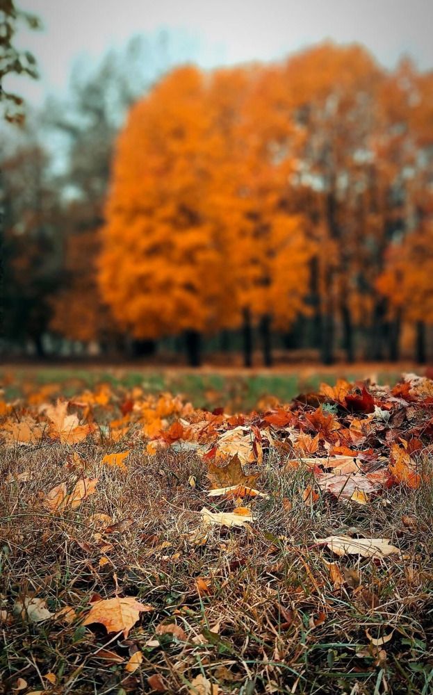 Photograph by Mishel Photographer