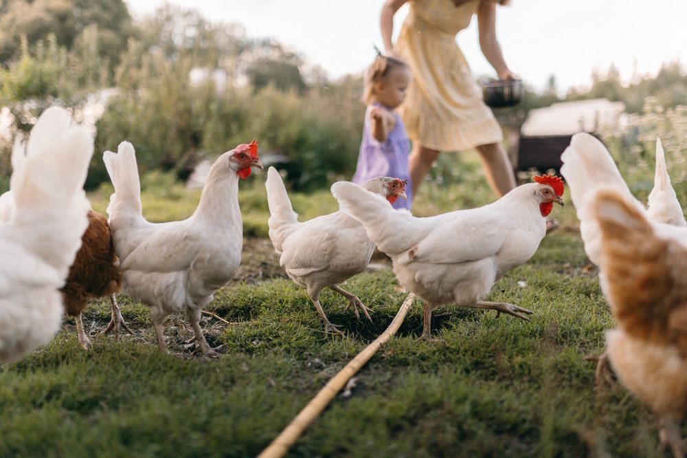 Photograph by Валерия Ефименко