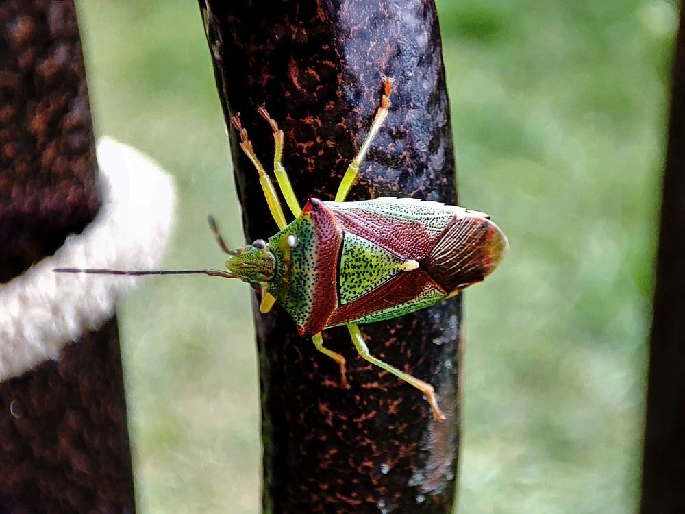 Photograph by Людмила