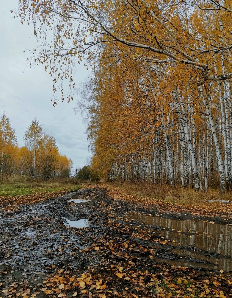 Photograph by Игорь Носков (Домненко)