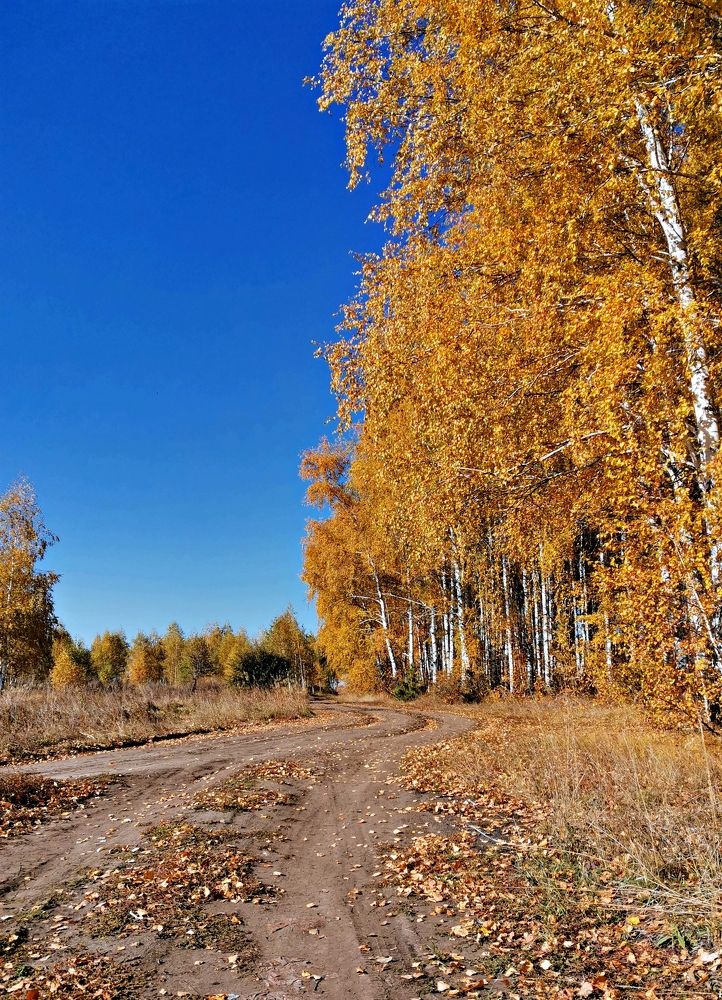 Photograph by Игорь Носков (Домненко)