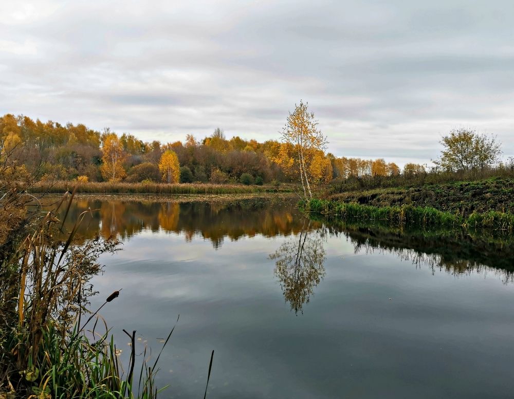 Photograph by Игорь Носков (Домненко)