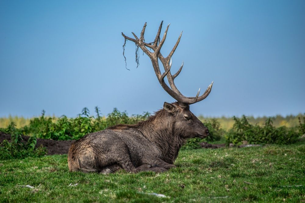 hot day in the north