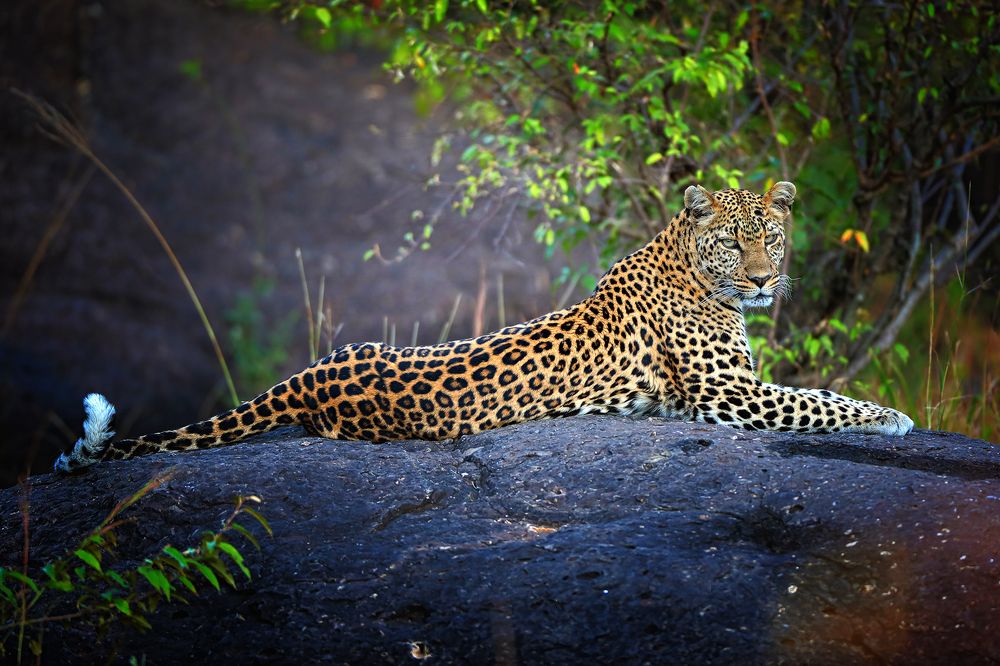 Photograph by Ирина Худзинская