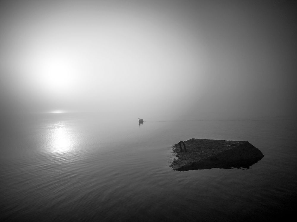 Photograph by Абросимов Александр