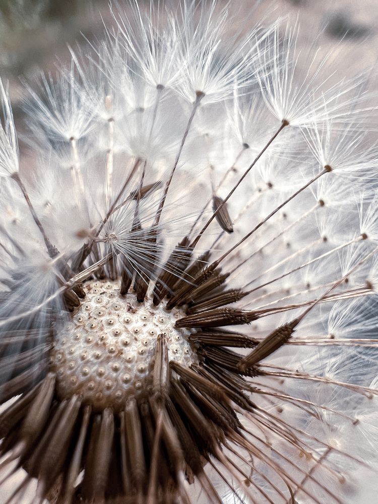 Photograph by Татьяна Волохова