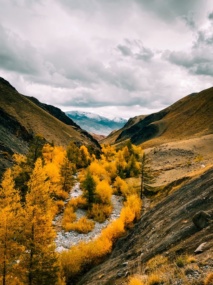 Photograph by Дарья Андреева