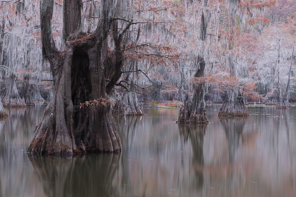 Photograph by Марина Маликова