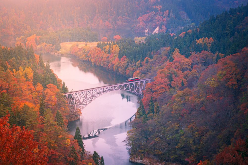 Photograph by Duy Chris