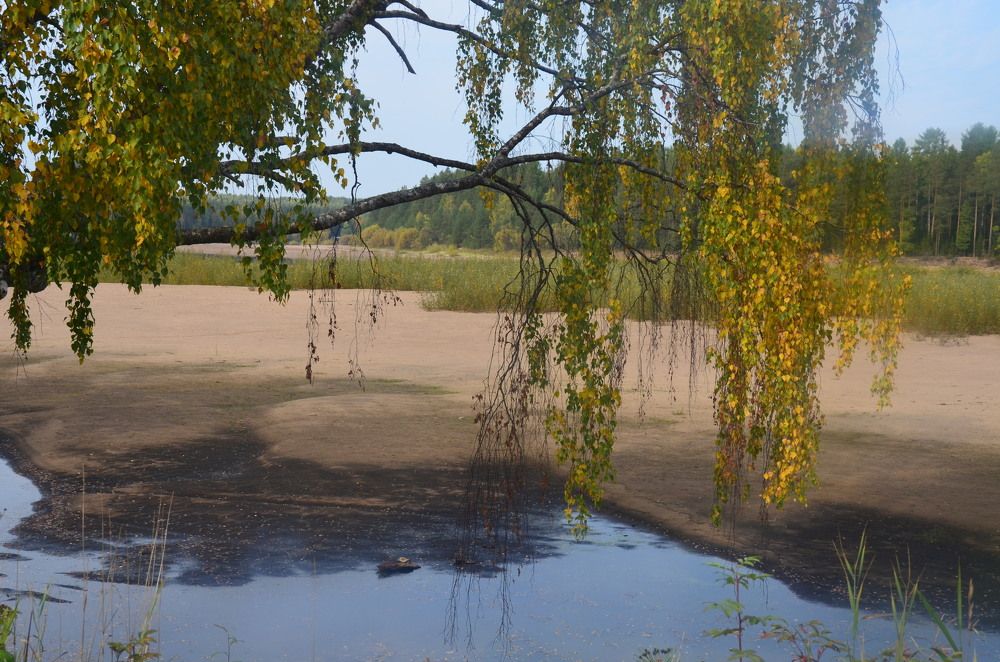 Photograph by Valentina