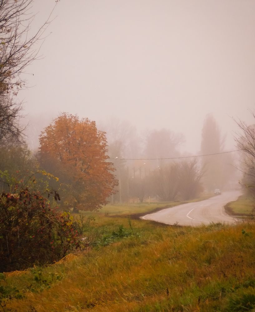 Photograph by Юлия Закопайло