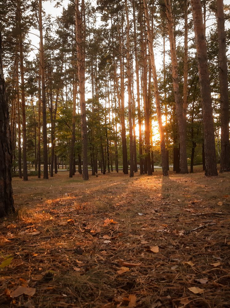 Photograph by Юлия Закопайло
