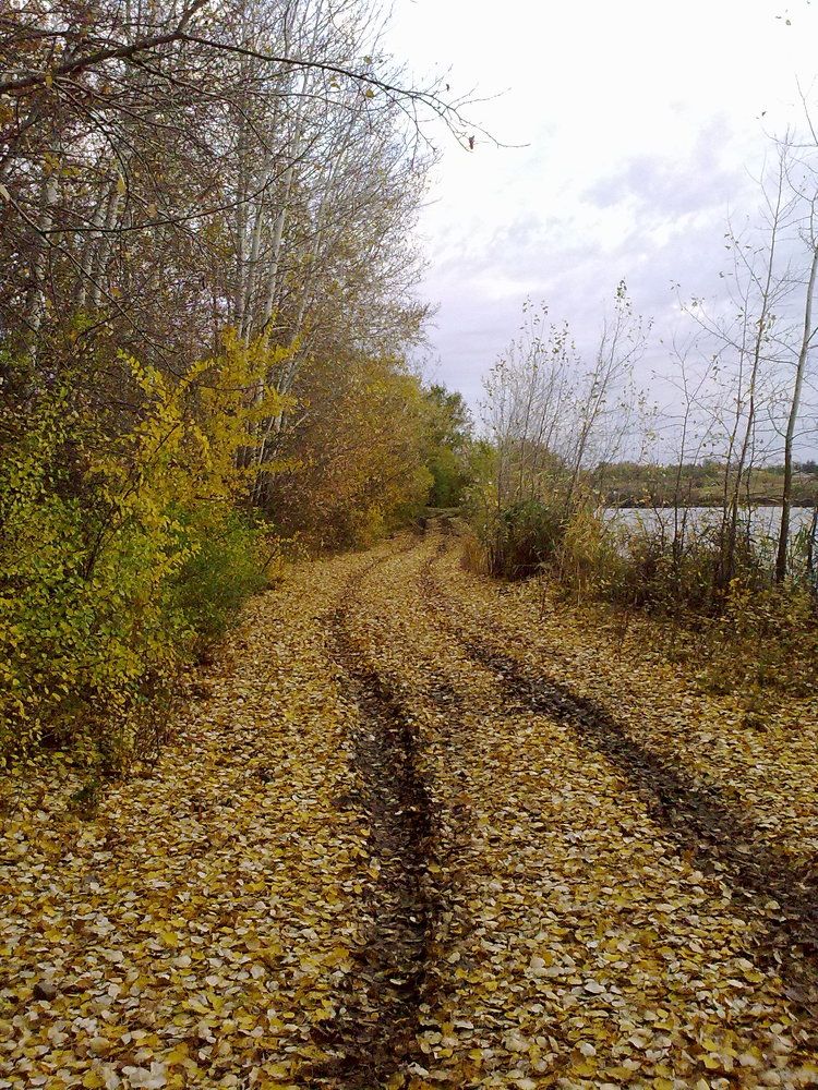 Photograph by Александр Казачек