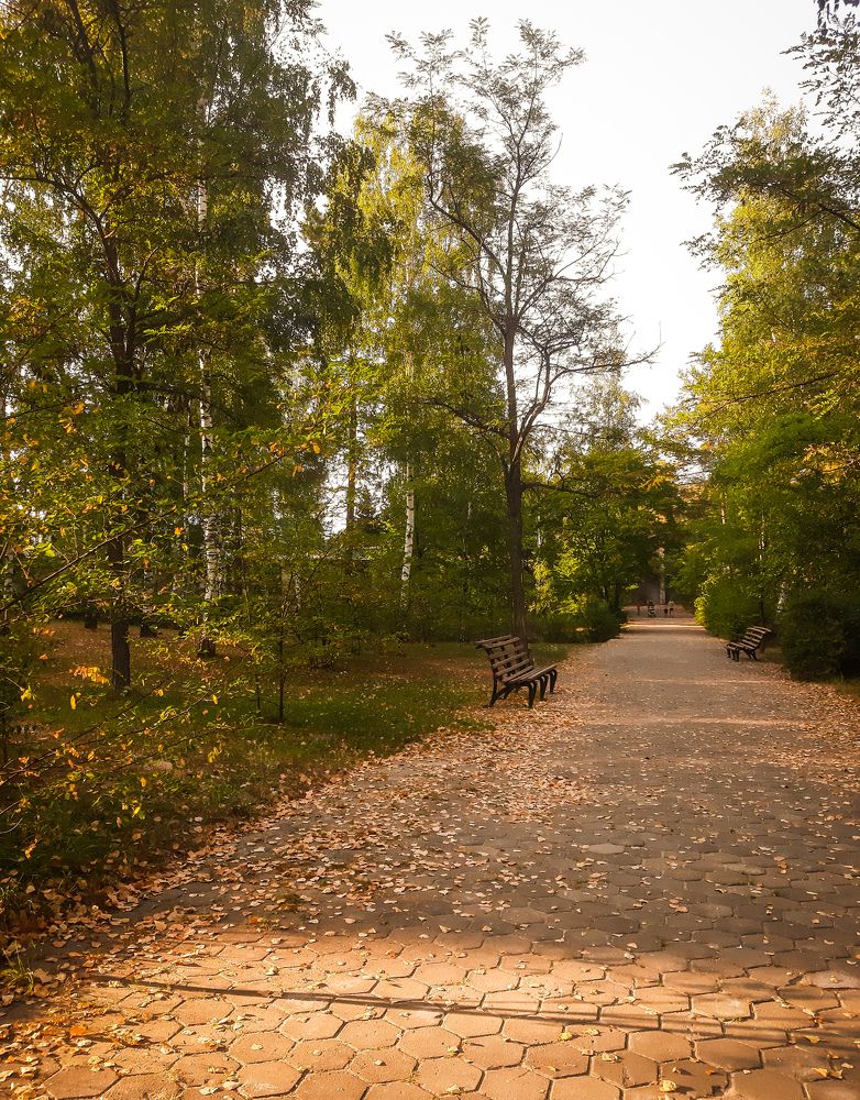 Photograph by Юлия Закопайло