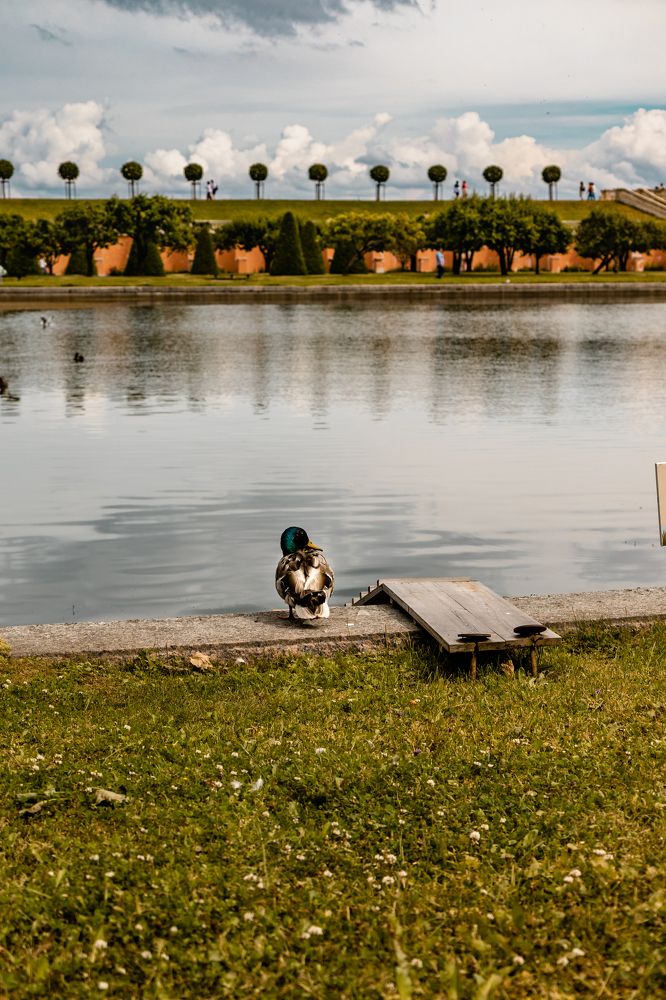 Photograph by Сергей Аникушин