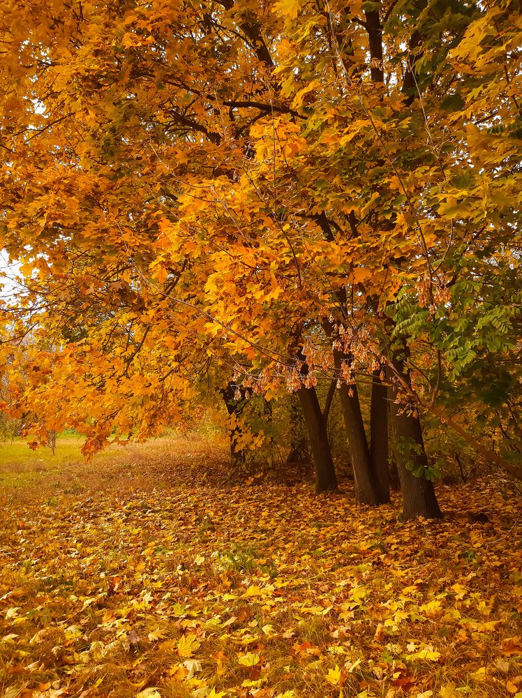 Photograph by Юлия Закопайло