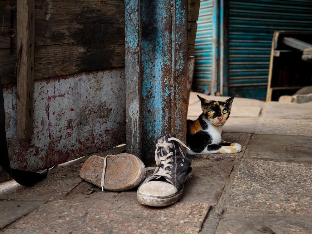 Photograph by HARSHIT MISHRA