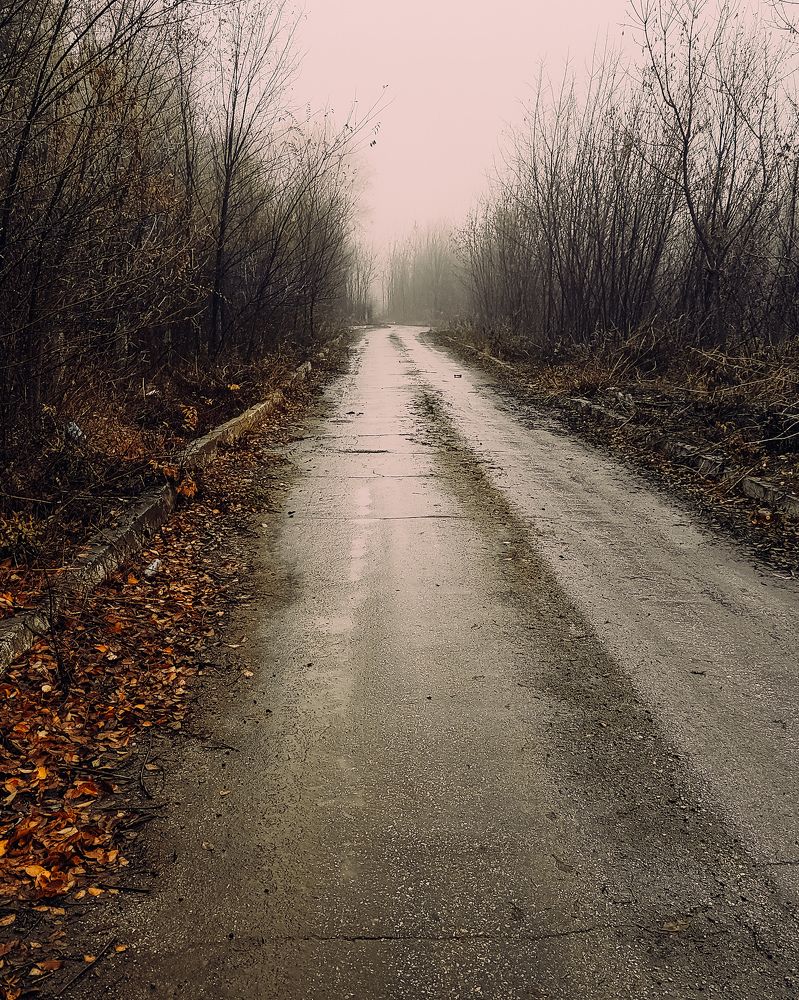 Photograph by Катерина Гущина