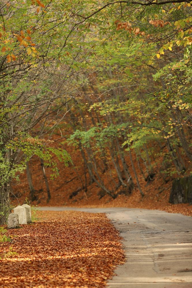 Photograph by Карина Кириченко