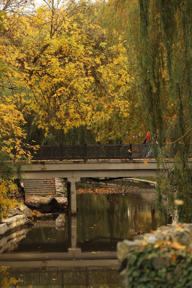 Photograph by Карина Кириченко