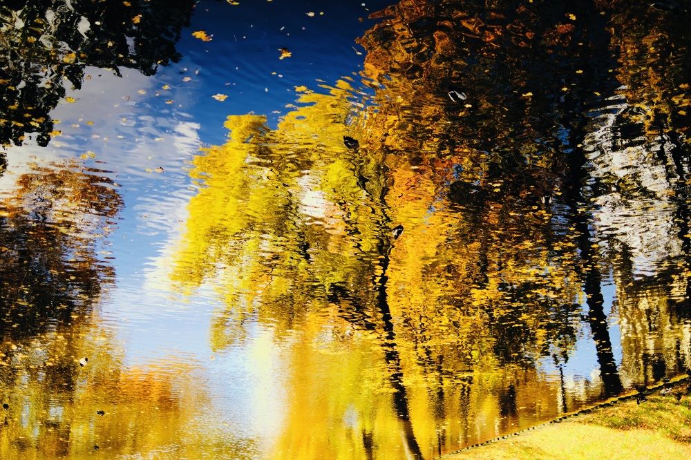 Фотография автора Vilnis Zoldners