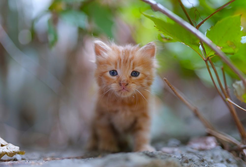 Photograph by Оксана Архипова