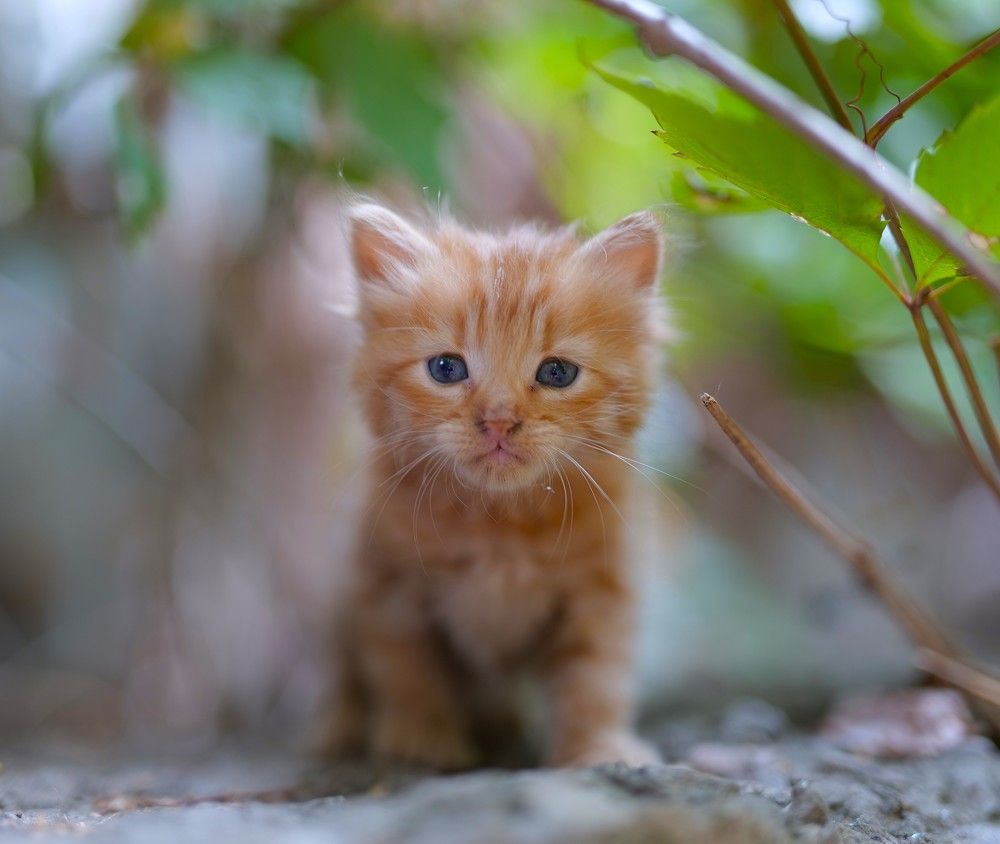 Photograph by Оксана Архипова