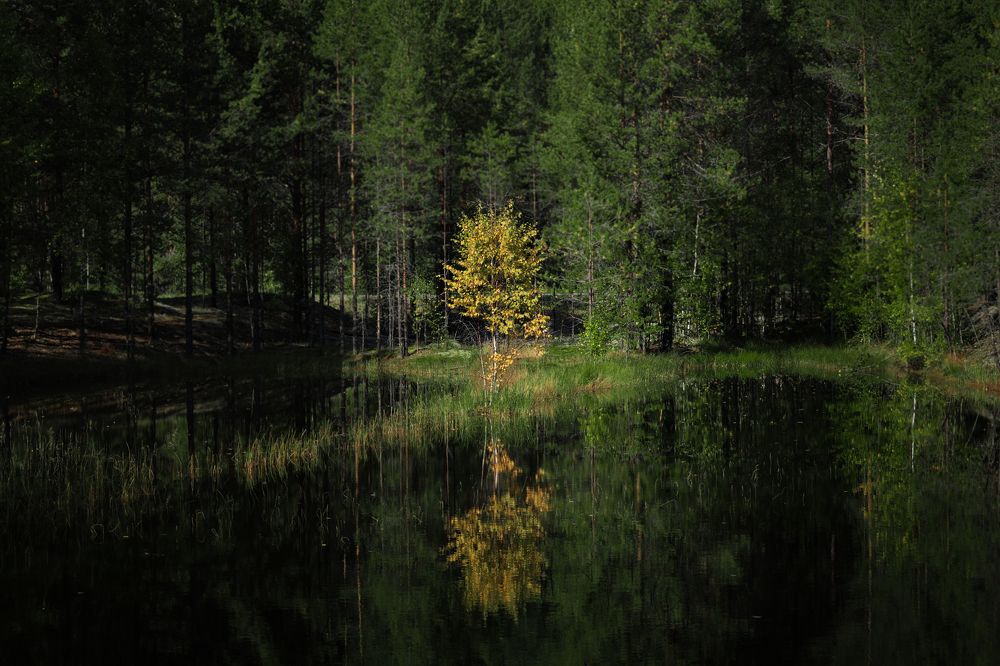 Photograph by Вальшина Алина