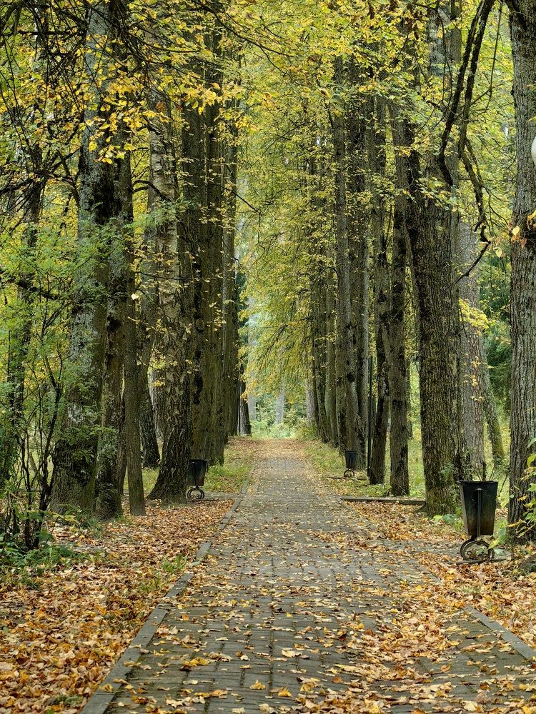 Photograph by Сергей Игнатьев