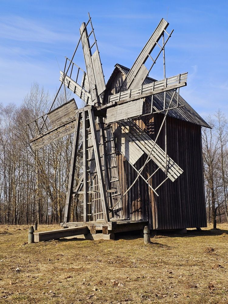 Фотография автора Мария Рудаковская