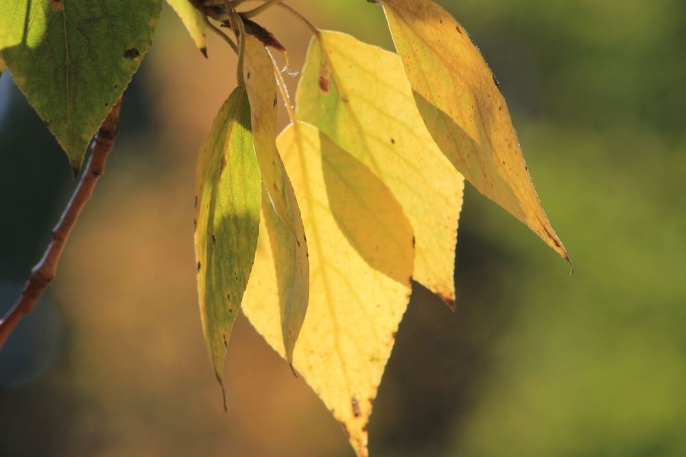 Photograph by Александр Гришин