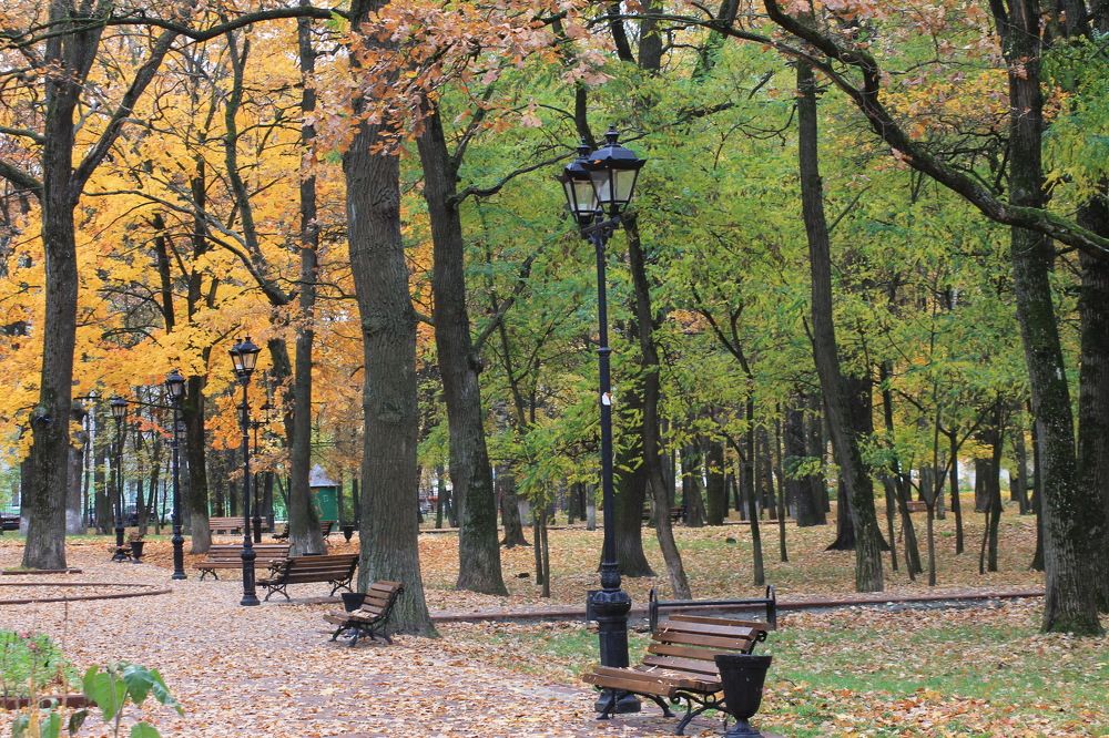 Photograph by Александр Гришин