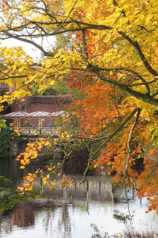 Photograph by Ирина Шведчикова