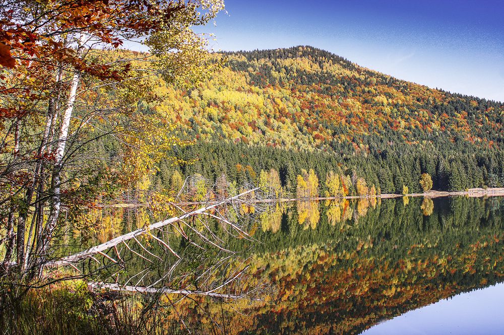 Saint Anna Lake (Oct 2023) 2