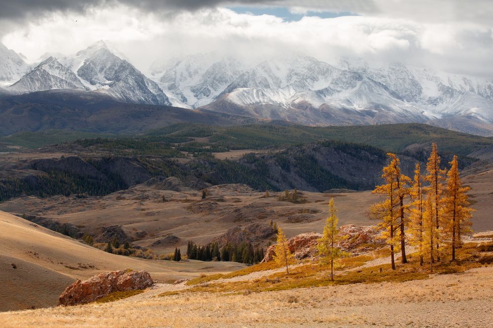 Photograph by Нерозя Александр