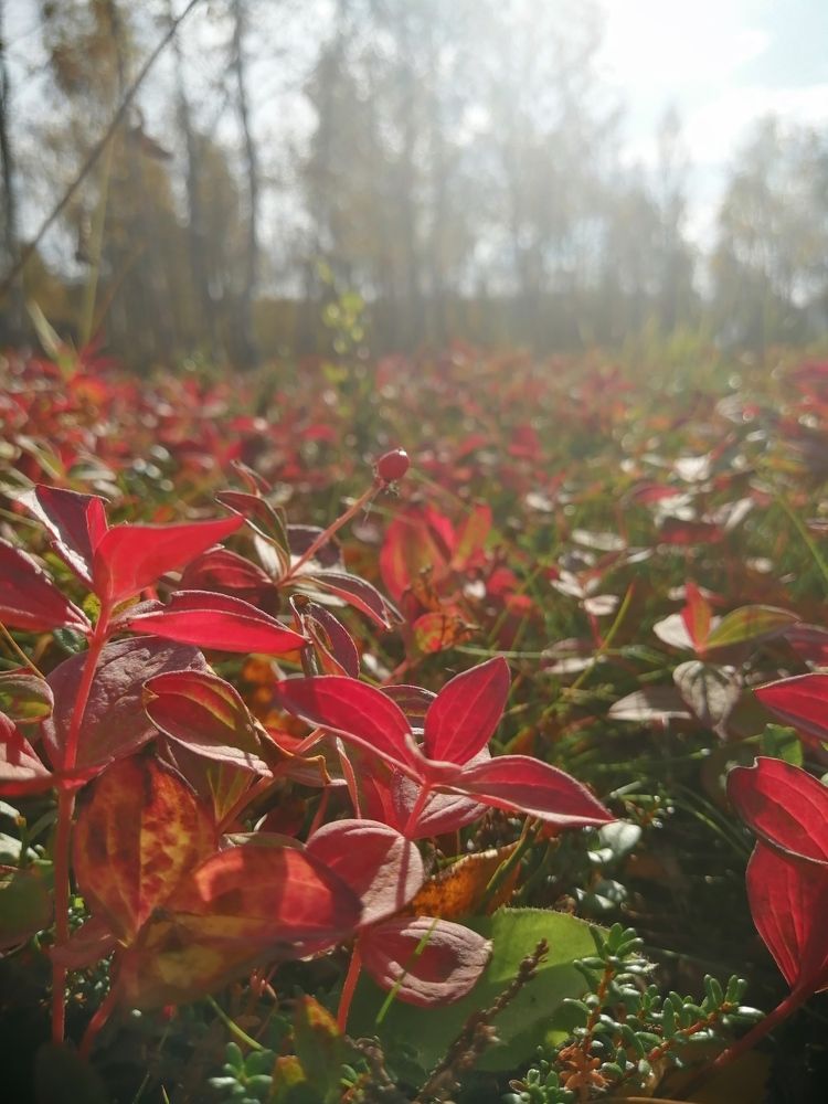 Фотография автора Татьяна Савранчук