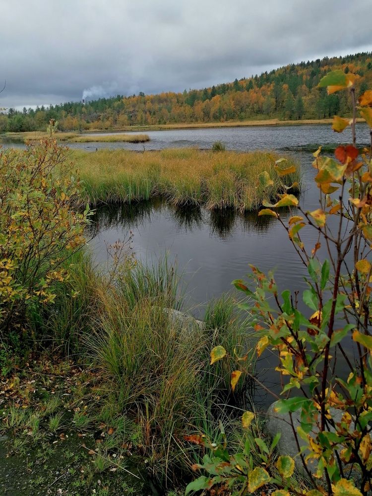 Фотография автора Татьяна Савранчук